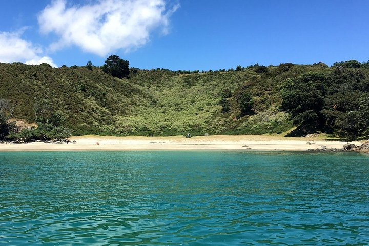 Cactus Bay on the Bush & Beach Walk